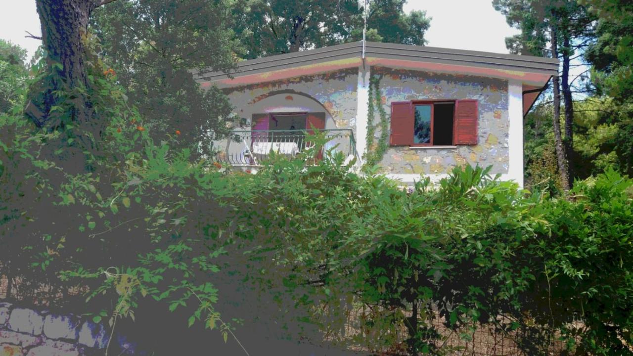 Villa Luisa Sul Mare Capitello Εξωτερικό φωτογραφία